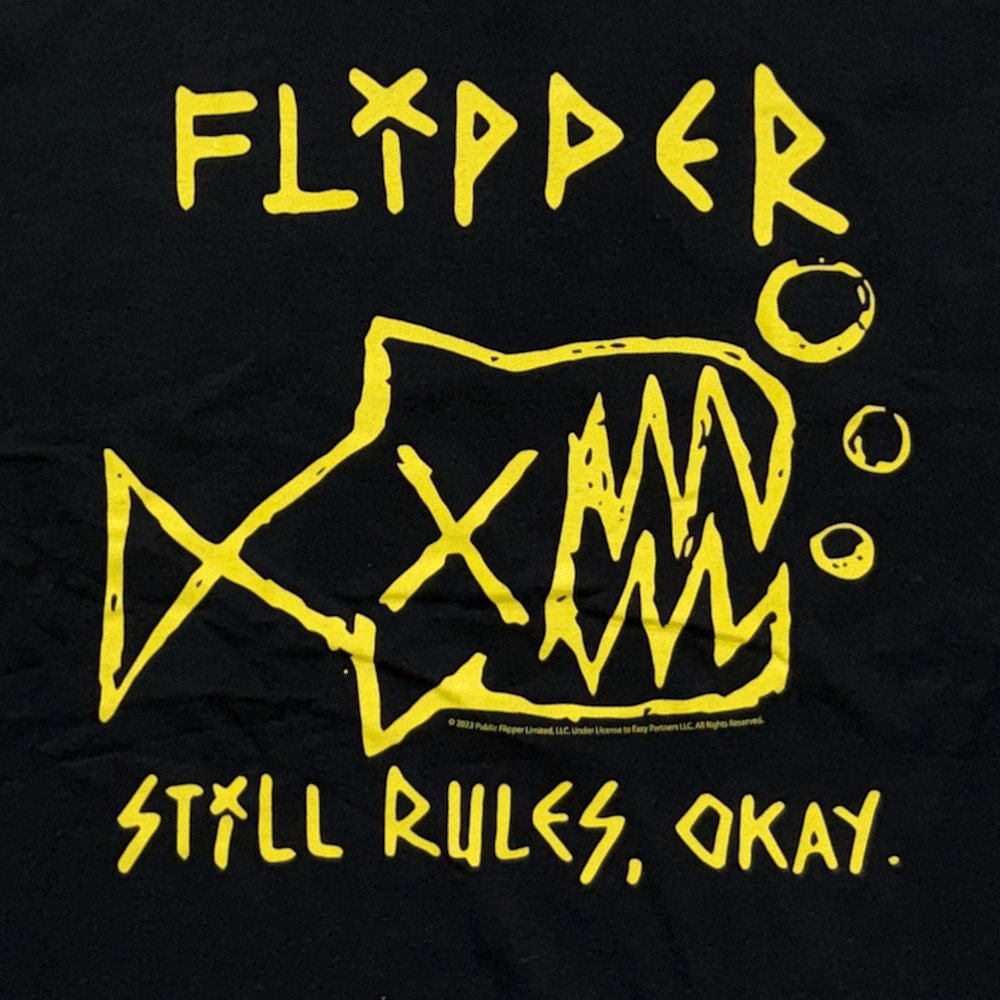 FLIPPER���ե�åѡ���STILL RULES��T����ġ����å�T�����