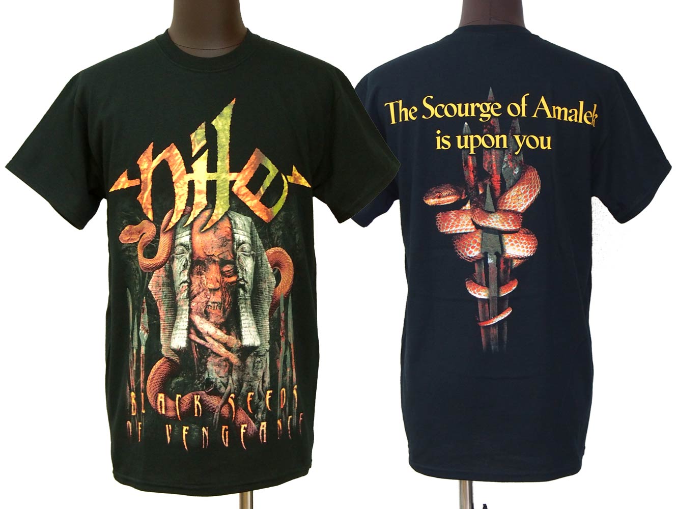 NILE / BLACK SEEDS T ʥ ե ХT åT