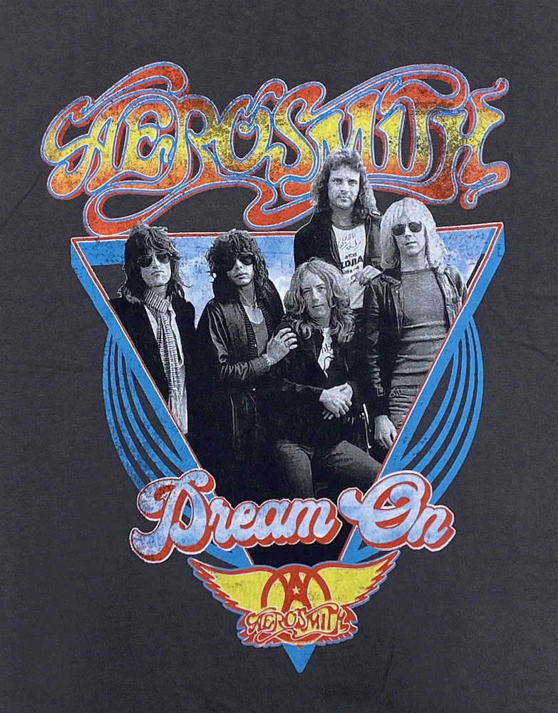 AEROSMITHߥDREAM ON/TRIANGLEUSAǡTġåT