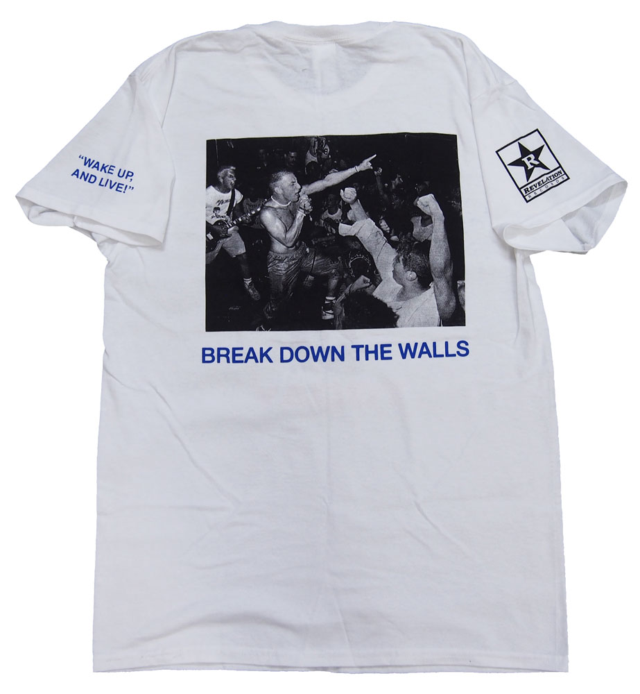 桼֡ȥǥYOUTH OF TODAYBREAK DOWN THE WALLSTġХT