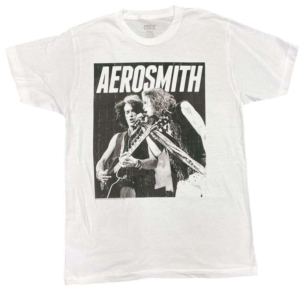 AEROSMITHߥBW PHOTOTġåT[M]