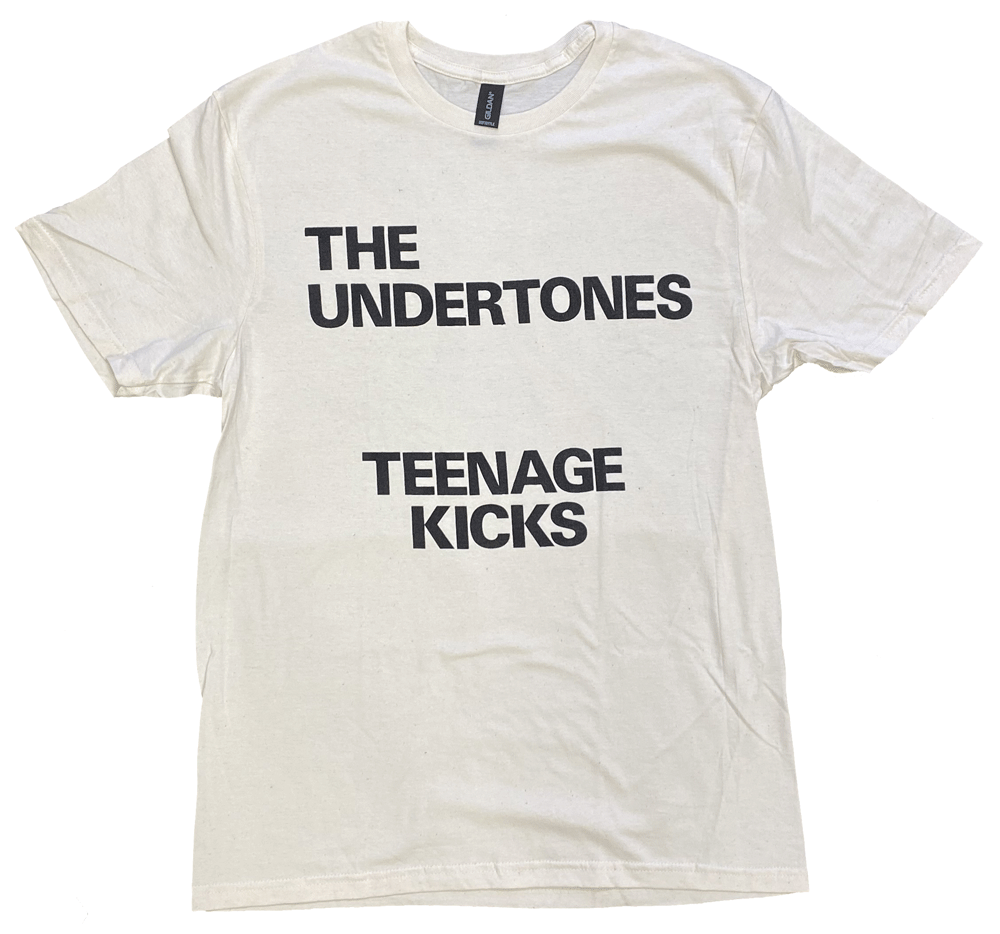THE UNDERTONESȡ󥺡TEENAGE KICKSTġåT
